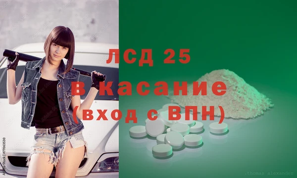 PSILOCYBIN Зеленодольск