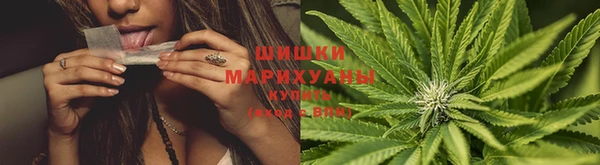 PSILOCYBIN Зеленодольск