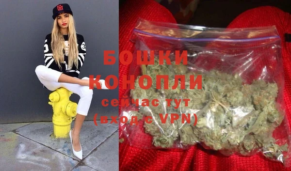 PSILOCYBIN Зеленодольск