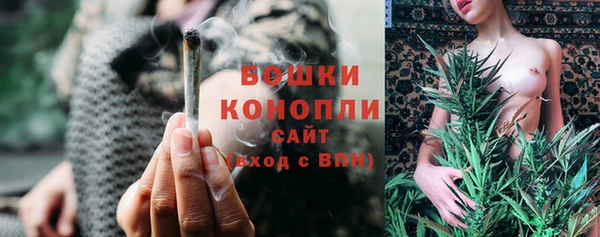 PSILOCYBIN Зеленодольск