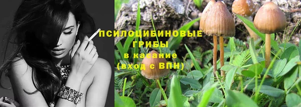 PSILOCYBIN Зеленодольск