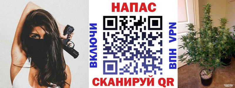Купить закладки  Благодарный  Бошки марихуана LSD WEED 